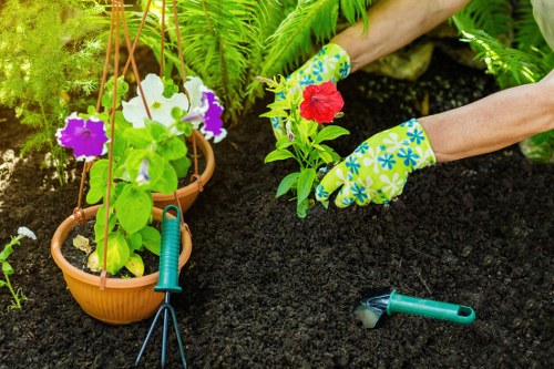 The image depicts a gardener wearing colorful gardening gloves working in a well-maintained outdoor garden space, which features a variety of plants in terracotta pots and directly planted in the soil. The gardener is planting or tending to a red flowering plant, with freshly turned dark soil visible around the plant. Surrounding the area are lush green ferns and leafy plants, creating a vibrant, natural setting. The garden has a mix of potted and in-ground plants, with gardening tools such as a small rake and pruning shears placed on the soil nearby, indicating active garden maintenance. This outdoor environment appears to be part of a landscaped front or back garden, designed for decorative and functional purposes, with natural lighting suggesting a partly sunny day. Such detailed garden care aligns with services offered by Lawn Mowing Temple, focusing on maintaining healthy, attractive outdoor spaces in the local area near Temple or within the postcode area, contributing to the overall aesthetic and health of garden landscapes.