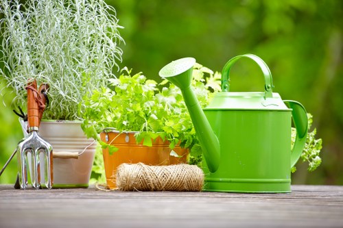 Eco-friendly lawn care practices