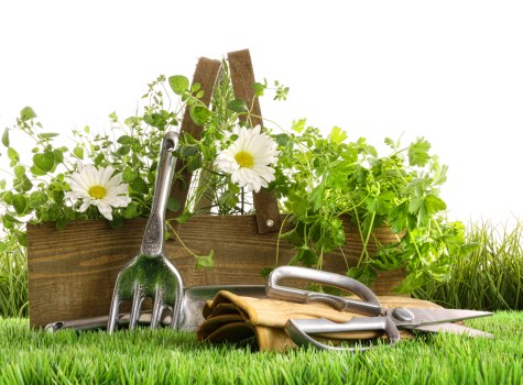 A neatly arranged gardening scene in a garden setting featuring a rectangular wooden planter box overflowing with lush green foliage and white-flowered plants, set against a clear outdoor background. In the foreground, there is a well-maintained, vibrant green lawn with evenly cut grass. Several gardening tools are laid out on the grass, including a metal rake, a pair of gardening gloves, a small hand trowel, and pruning shears, indicating recent or ongoing gardening activities. The environment appears bright with natural daylight, suggesting a clear weather day in a suburban garden located within or near Temple, UK. The scene captures the essence of outdoor maintenance and garden care, representative of services such as lawn mowing, hedge trimming, and general landscaping provided by Lawn Mowing Temple, and reflects a focus on healthy, well-kept outdoor spaces typical of the local area.