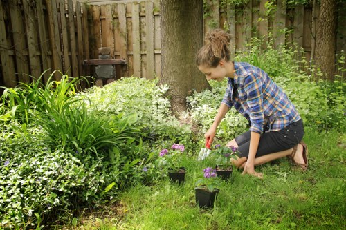 A young woman with curly brown hair, wearing a blue plaid shirt and dark jeans, is kneeling on a well-maintained grass lawn in a garden, planting purple flowering plants into small black pots. She is surrounded by lush green foliage, including large leafy plants on the left and a dense hedge along a wooden fence in the background. The garden features a large tree with a sturdy trunk, providing partial shade, and a weathered outdoor bench or barbecue grill visible behind the foliage. The scene is set outdoors on a bright, slightly cloudy day, with natural sunlight illuminating the garden and highlighting the vibrant colours of the plants. This image reflects a well-kept outdoor space suitable for gardening services offered by Lawn Mowing Temple, demonstrating gardening and planting activities typical of residential gardens in the [POSTCODE] area near [TOWN], UK.